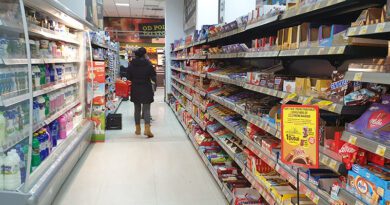 KAKO SE PROŠLA GODINA ODRAZILA NA RAD MALOPRODAJNIH OBJEKATA U NAŠOJ SREDINI KAKO SE PROŠLA GODINA ODRAZILA NA RAD MALOPRODAJNIH OBJEKATA U NAŠOJ SREDINI
