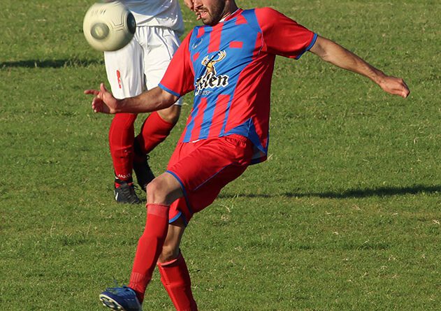 46 - 1 FUDBAL VOJVODJANSKA Mladen Novak (Begej)