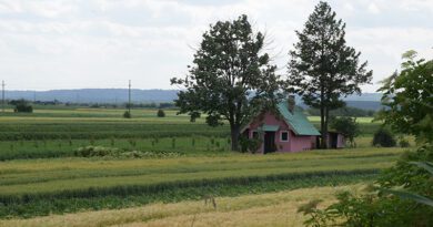 STRUČNjACI RAZGOVARALI SA PERLEŽANIMA O EKONOMSKOM RAZVOJU NA UŠTRB ŽIVOTNE SREDINE STRUČNjACI RAZGOVARALI SA PERLEŽANIMA O EKONOMSKOM RAZVOJU NA UŠTRB ŽIVOTNE SREDINE