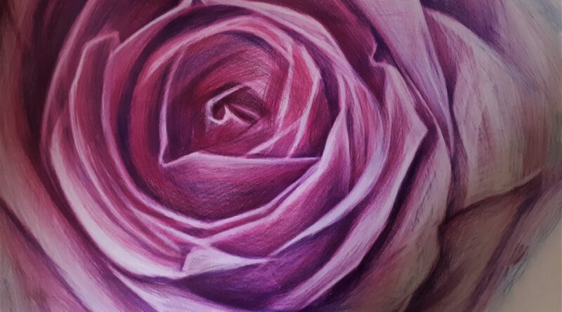 Maja Poljak Petrovic, Pustinjska ruža, Olovka u boji na papiru, 70 x 100 cm, 2022.(1)