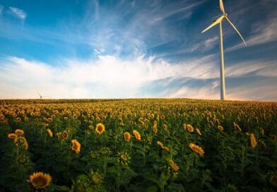 PROJEKAT „DANUBE INDEET”: Širenje i efikasnost obnovljive energije u dunavskom regionu