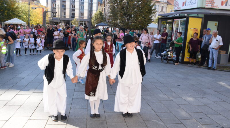 6-1-ucesnici folklor