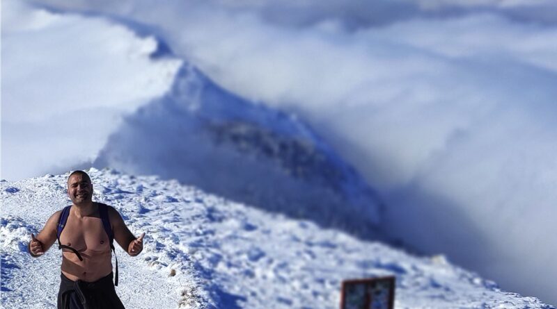 Ledena vestina - prateca