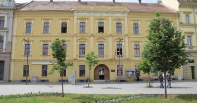 „ĐUKA”, PREDSTAVA O MAJCI NIKOLE TESLE USKORO U ZRENJANINSKOM TEATRU „ĐUKA”, PREDSTAVA O MAJCI NIKOLE TESLE USKORO U ZRENJANINSKOM TEATRU