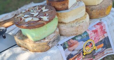JUBILARNI FESTIVAL SIREVA OKUPIO JE BROJNE PROIZVOĐAČE IZ SRBIJE JUBILARNI FESTIVAL SIREVA OKUPIO JE BROJNE PROIZVOĐAČE IZ SRBIJE