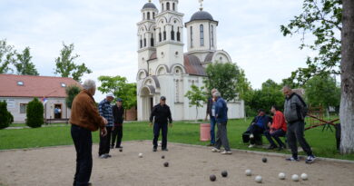 DALMATINSKI KOLONISTI DONELI BALOTE U SUTJESKU DALMATINSKI KOLONISTI DONELI BALOTE U SUTJESKU