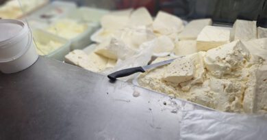 KAKO SAČUVATI HRANU NA VISOKIM TEMPERATURAMA