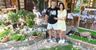 PEJZAŽ U OAZI SUGRAĐANA MAMI POGLEDE I UZDAHE PROLAZNIKA: Dvorište koje život znači PEJZAŽ U OAZI SUGRAĐANA MAMI POGLEDE I UZDAHE PROLAZNIKA: Dvorište koje život znači