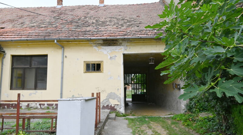 3-1-pupinova kuca iz dvorista