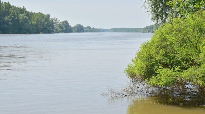 11 - 1 B PRODAJA VIKENDICA 1