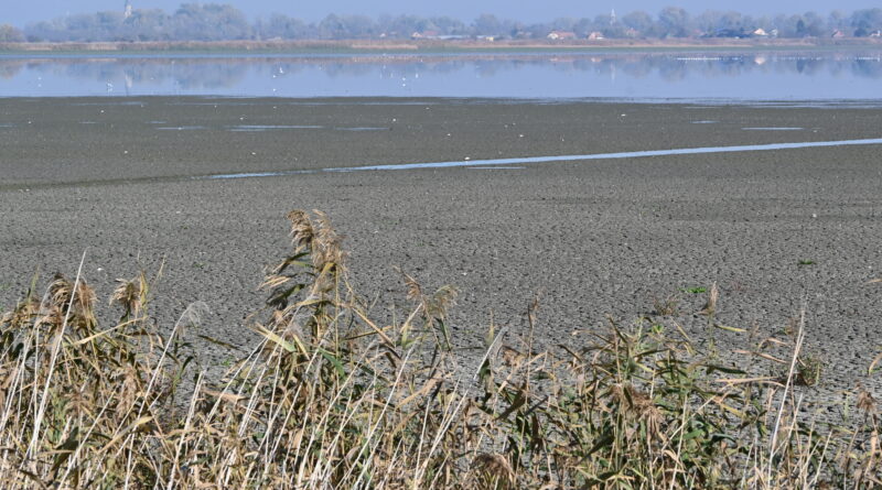 14-1-2-Sakali u Lukinom Selu