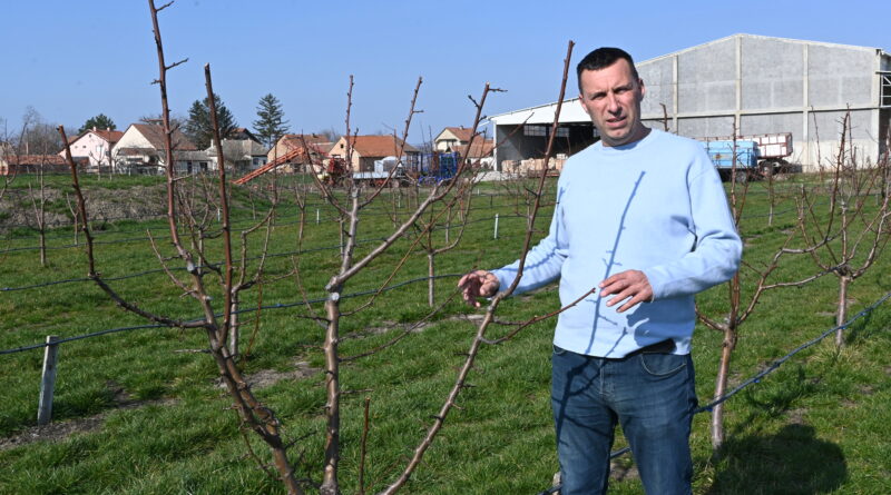 14-1-3-Tomislav Bacic Lukicevo