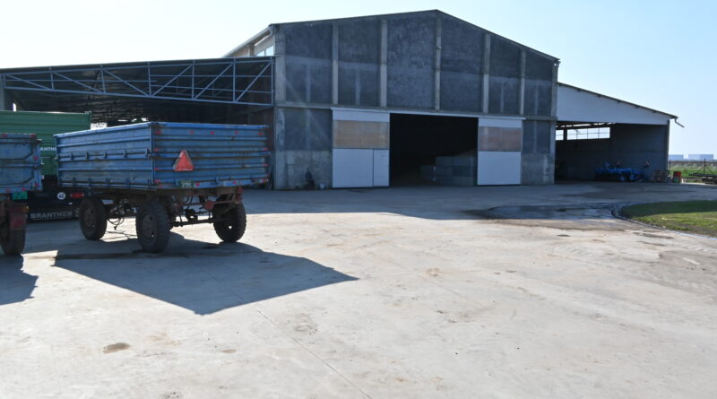 14-1-4-Tomislav Bacic Lukicevo