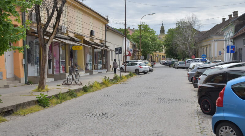 3-1-svetosavska (1)