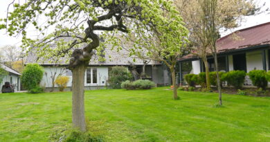 DOLASKOM LEPOG VREMENA POČELO JE UREĐENJE DVORIŠTA