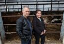 PORODICA TOMIĆ IZ STAJIĆEVA SE DECENIJAMA USPEŠNO BAVI STOČARSTVOM