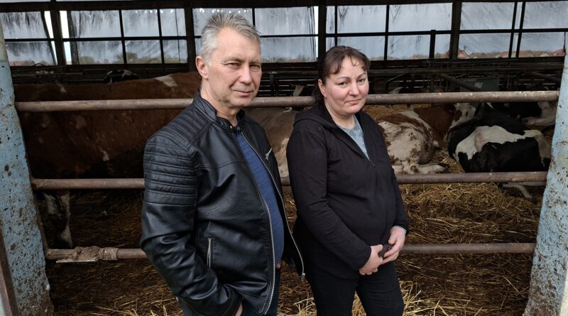 12-1-1-Farma muznih krava