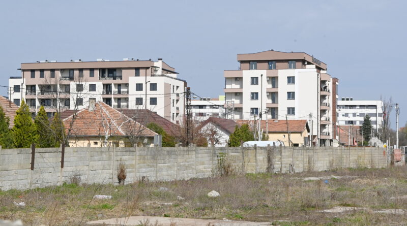 3-1-lamele u tihomira ostojica